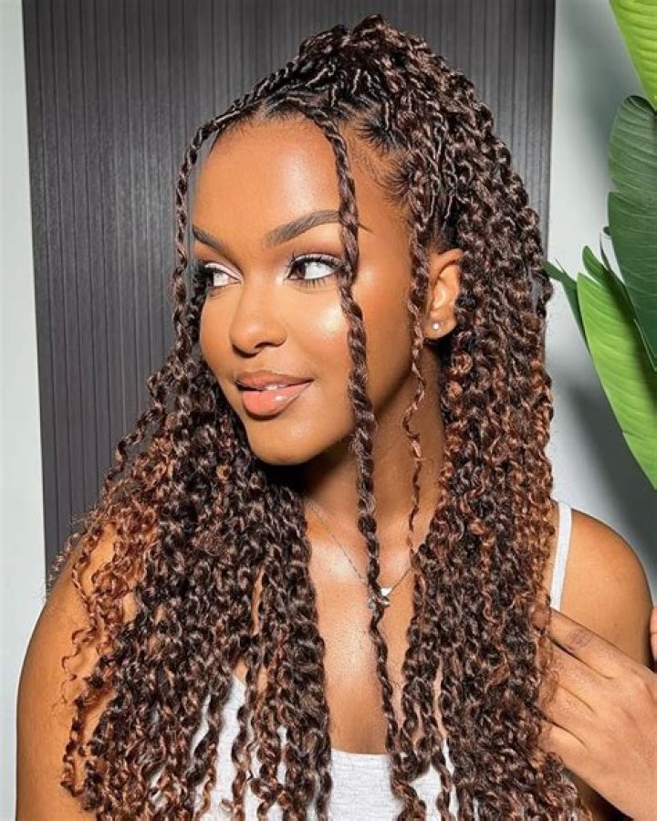 A Deep Dive Into Cute Curly Braids